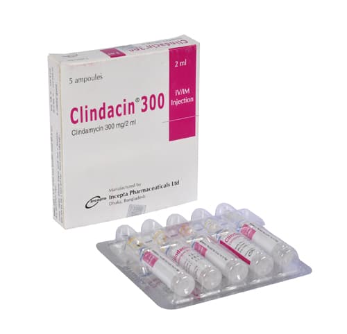 Clindacin IM/IV Injection 300 mg/2 ml